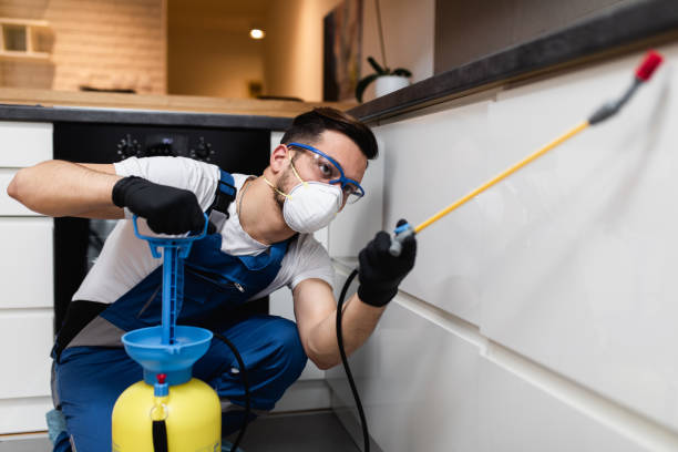 Best Local Pest Control Services  in Goddard, KS