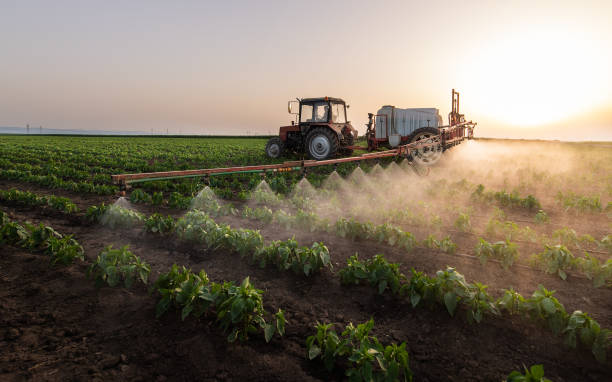 Goddard, KS Pest Control Company