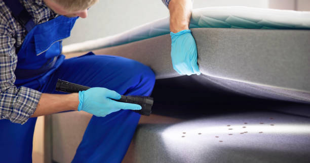 Best Best Pest Control Companies  in Goddard, KS