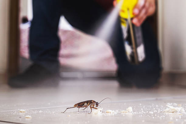 Best Exterminator Services  in Goddard, KS